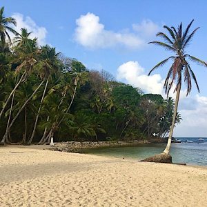 Hermosa vista de la Isla de los Monos en Panamá